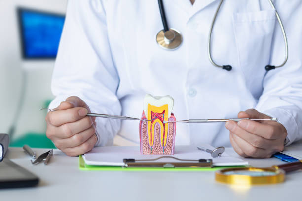 Best Emergency Wisdom Teeth Removal in Garland, NC